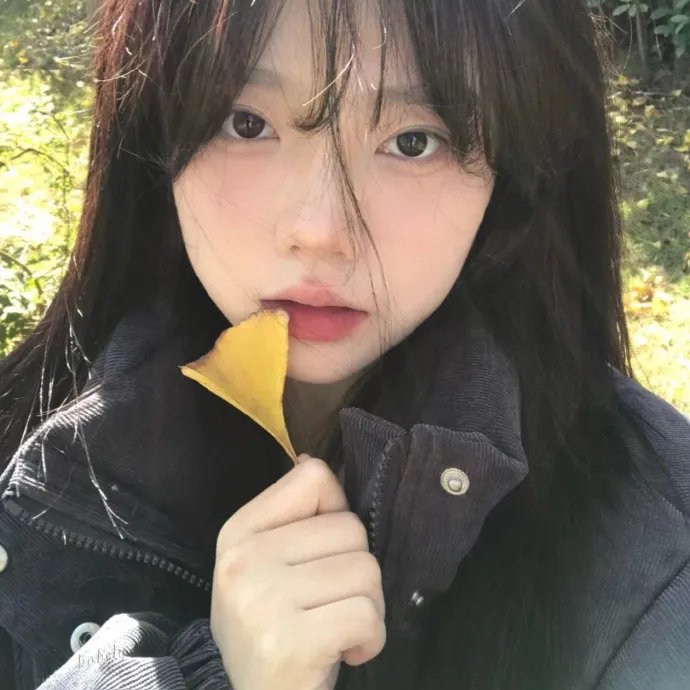 绅士强盗